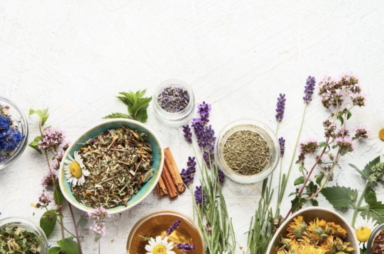 Whole plant extracts versus single compounds for the treatment of disease.