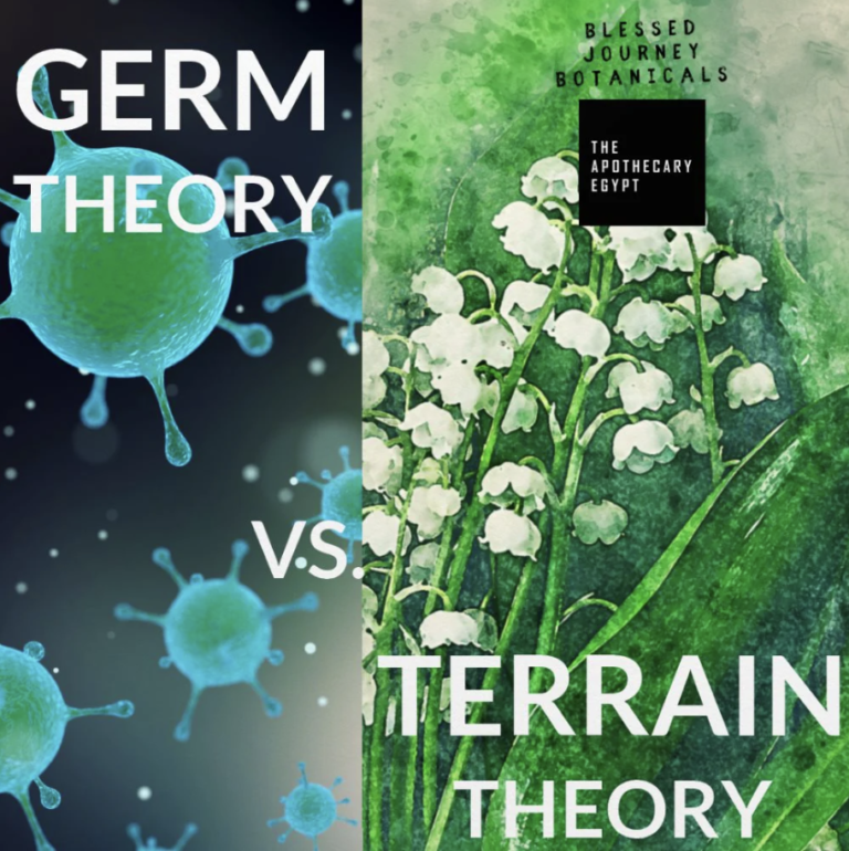 Terrain Approach and how to prevent re-infections